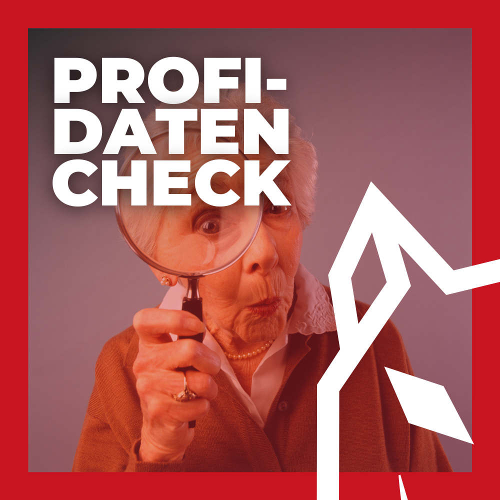 PROFI-Datencheck